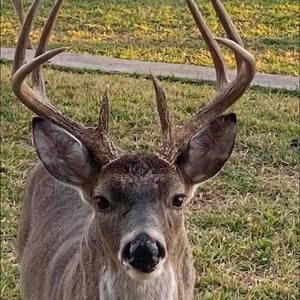 Meet your Posher, Gena